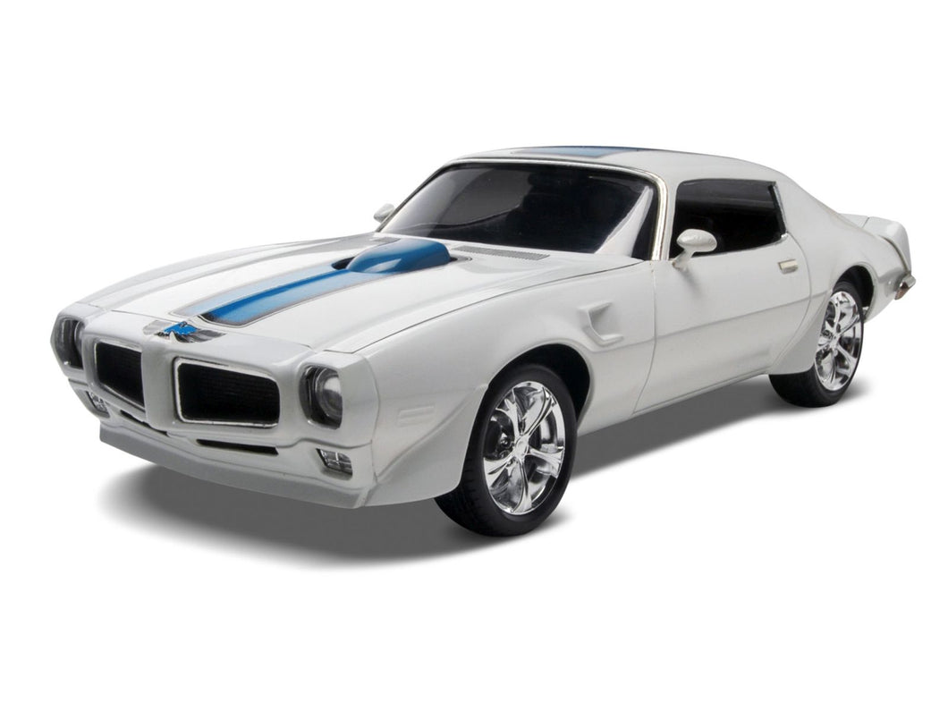 14489 1970 Pontiac Firebird